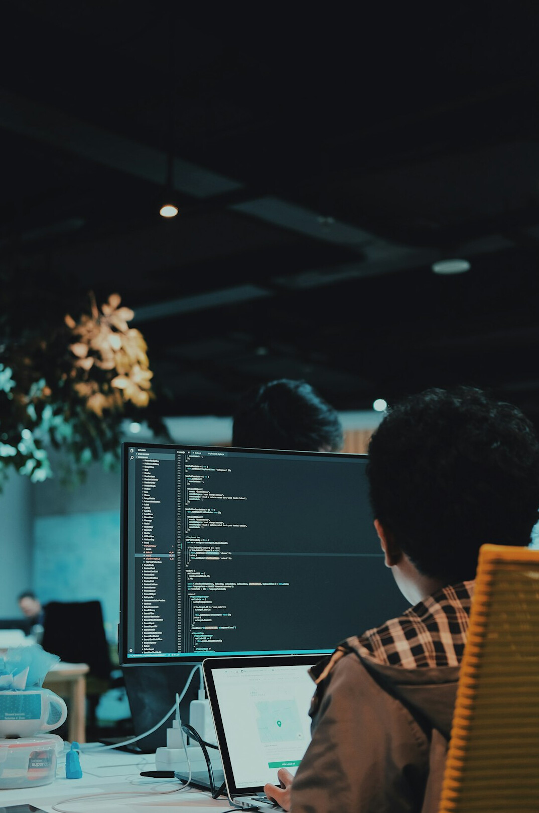 software developer coding